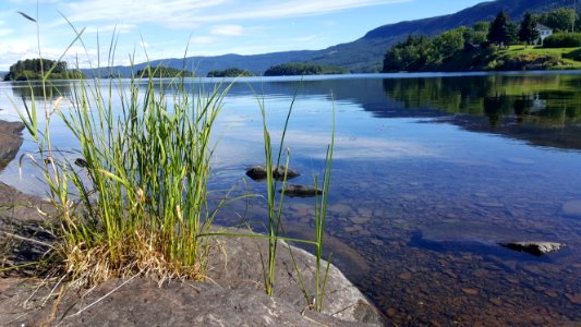 Clear Waters In Lake