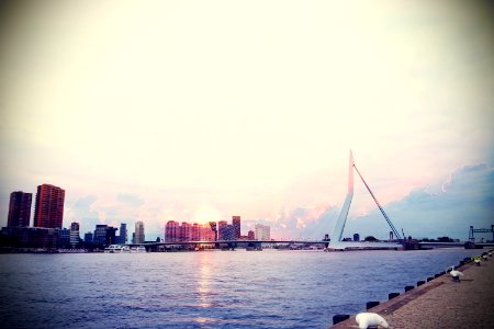 Rotterdam And Erasmusbrug