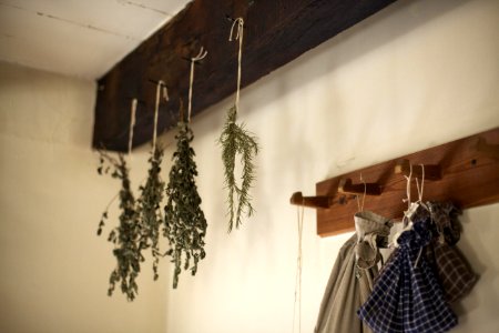Herbs Drying photo