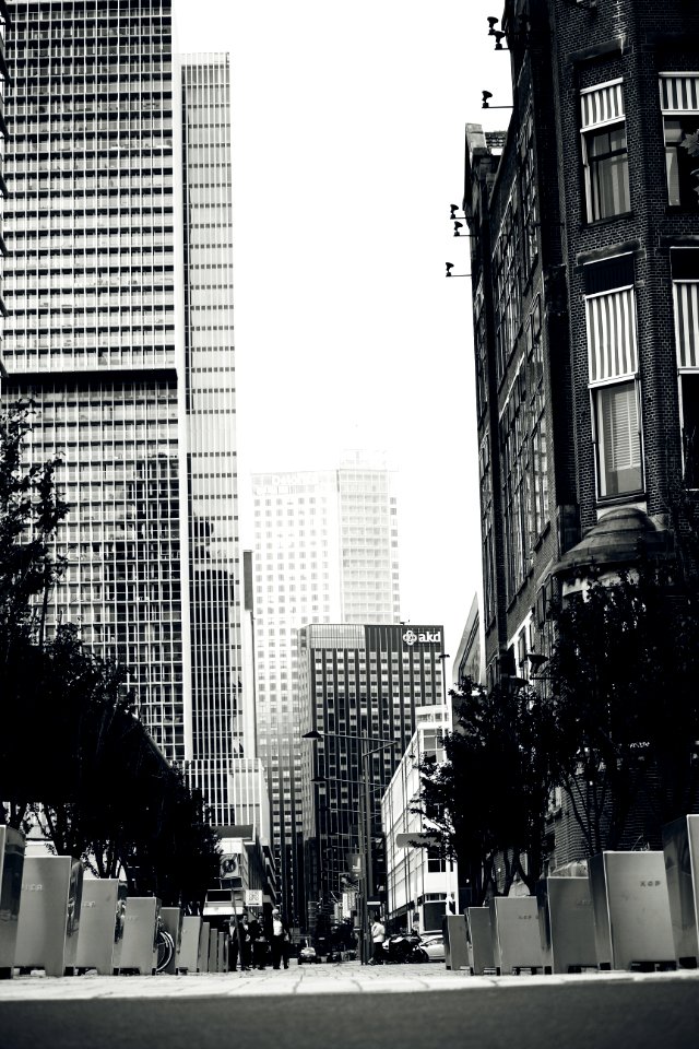 Rotterdam City