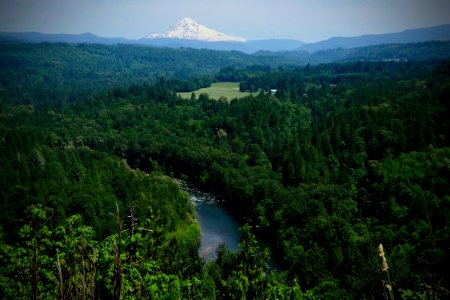 Mount Hood