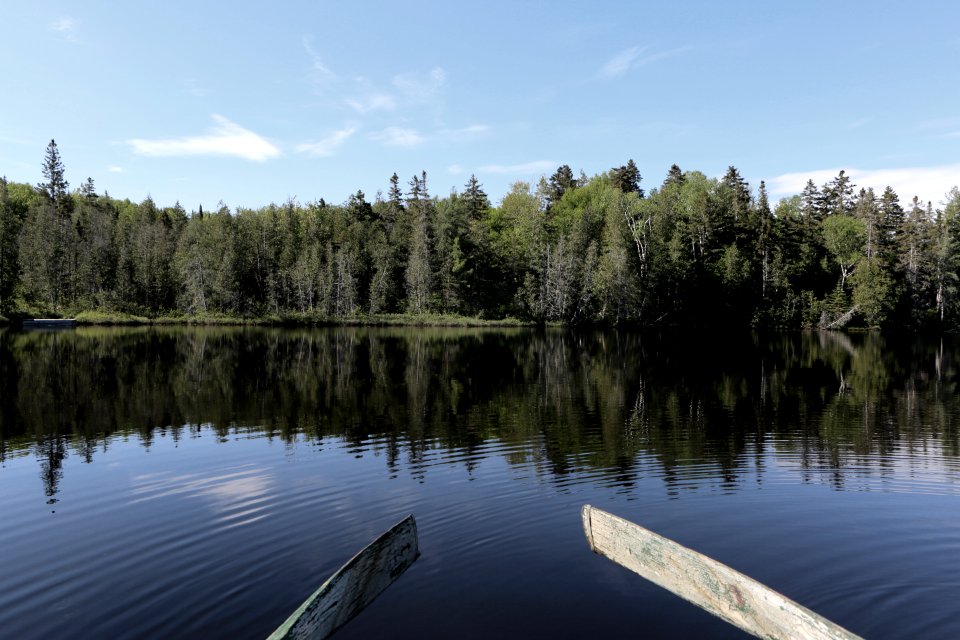 Rowing Into The Calm