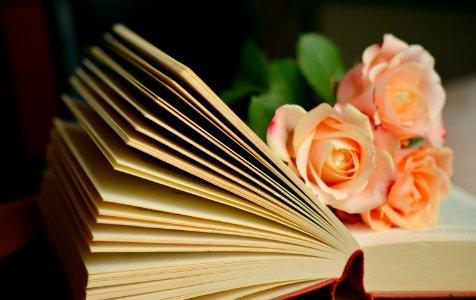 Open Book With Roses photo