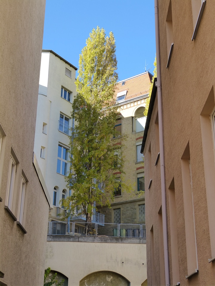 House garden stuttgart