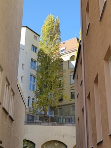 House garden stuttgart