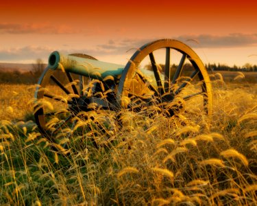 Ecosystem Grass Family Prairie Field photo