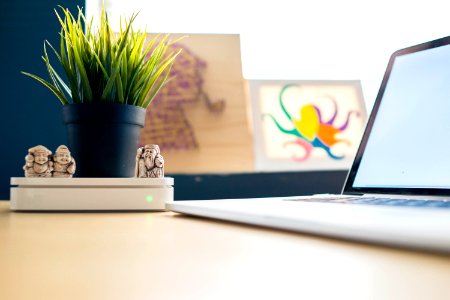Laptop And Decorative Plant photo