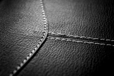 Leather Surface With Seams