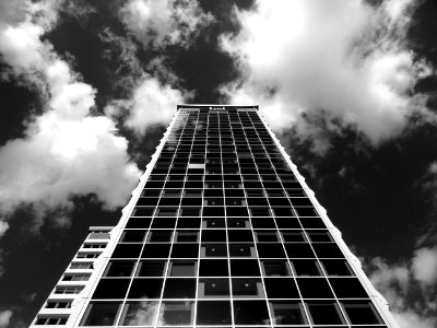 High Rise In Black And White
