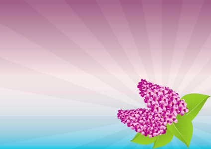 Flower Pink Purple Petal