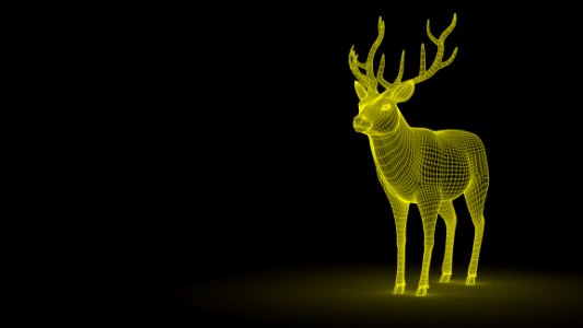 Deer Mammal Antler Wildlife