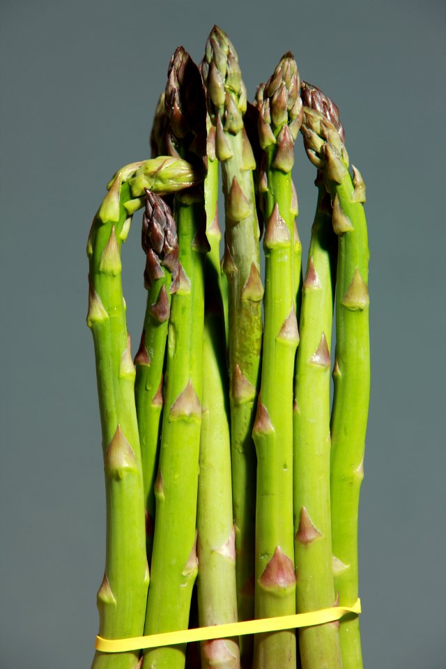 Asparagus Plant Stem Vegetable Commodity