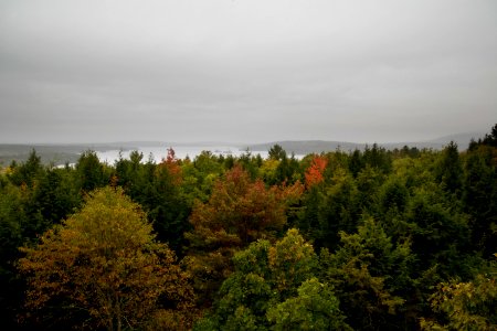 Green Trees Under Cloudy Sky photo