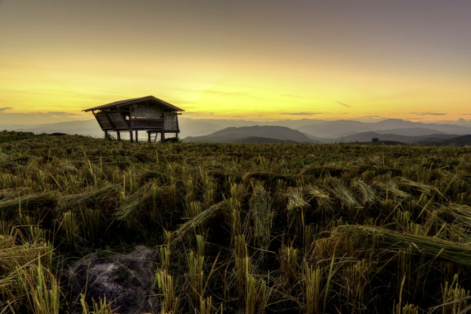 House On Stilts In Field