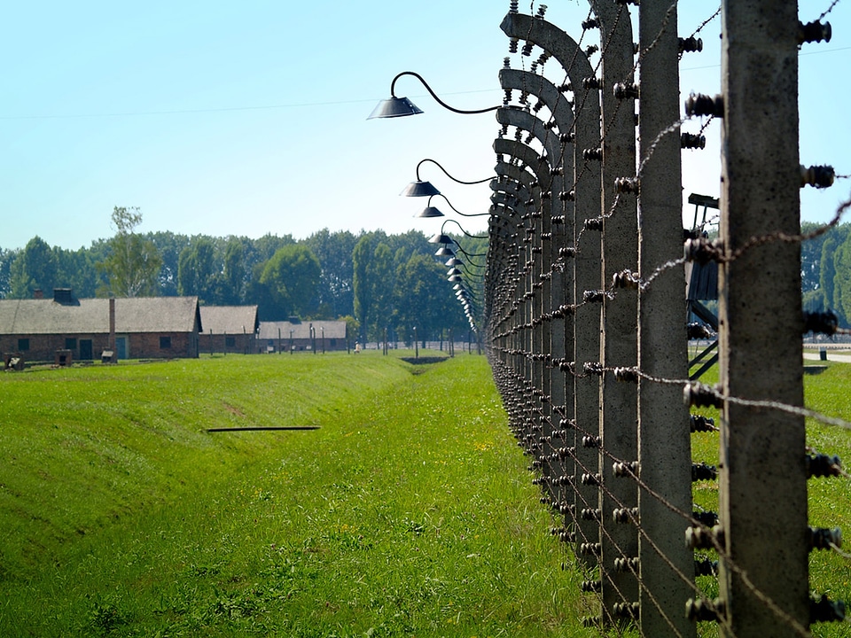 Prison grid barbed fence