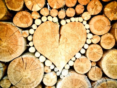 Wood Trunk Lumber