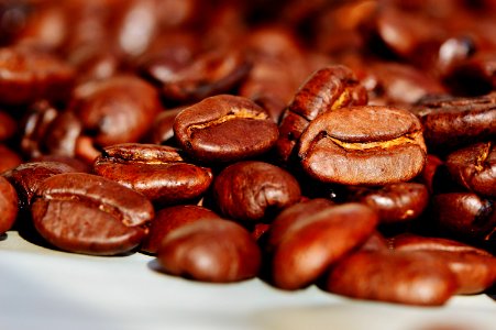 Cocoa Bean Chocolate Coated Peanut Chocolate Jamaican Blue Mountain Coffee photo