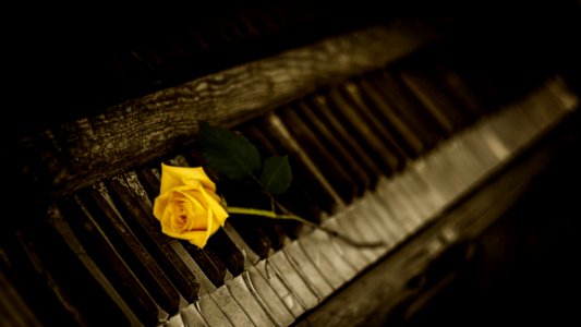 Piano Yellow Keyboard Darkness photo