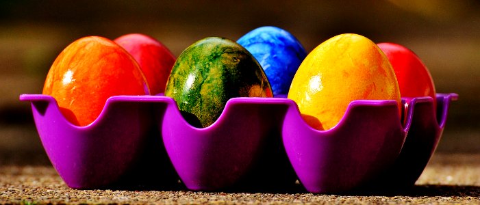 Easter Egg Still Life Photography Close Up Vegetable