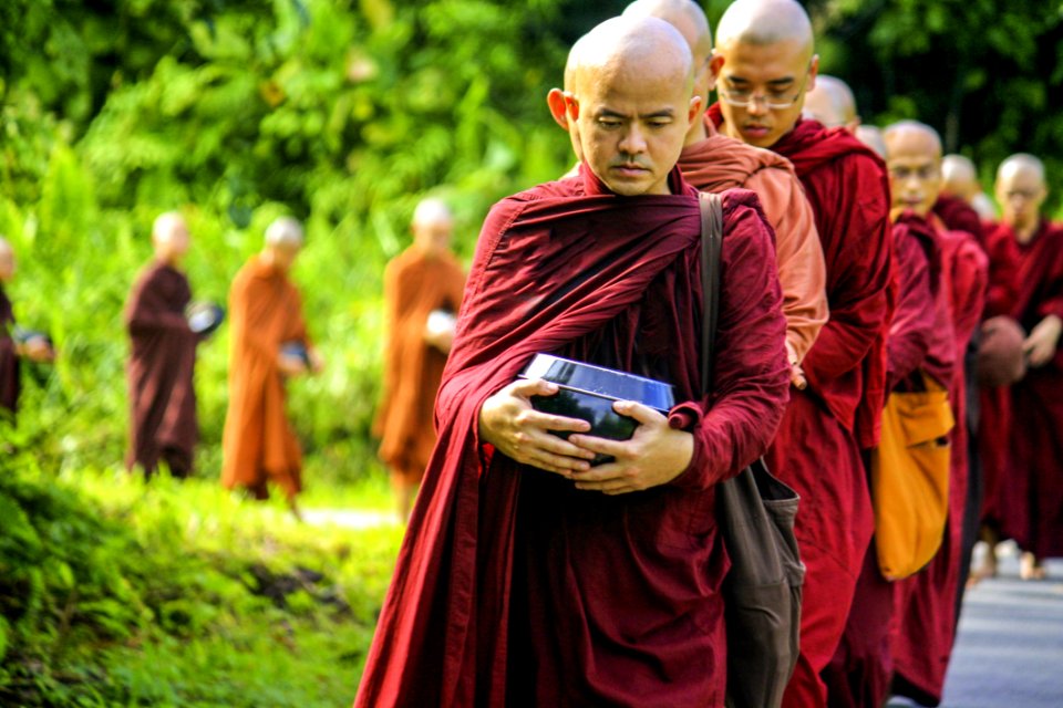 Buddhist Monks In Procession