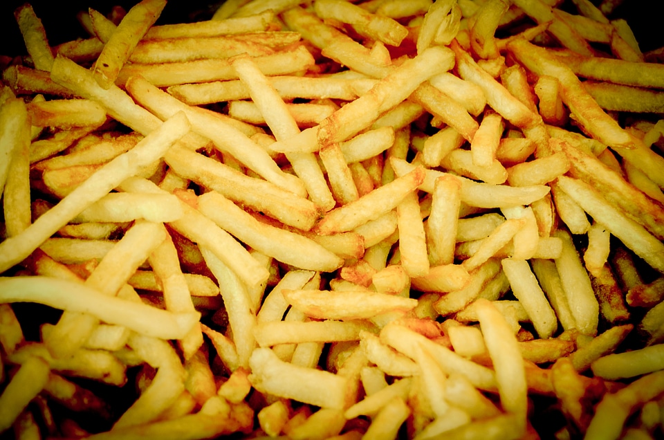 Food obesity cholesterol