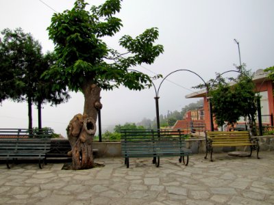 Sky Plant Furniture Building