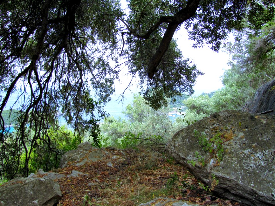 Plant Community Plant Sky Natural Landscape