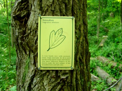 Oldtown Creek Preserve