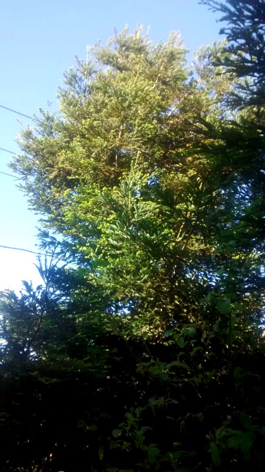IMG20160416171930432