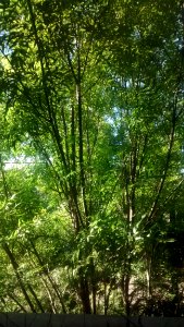 IMG20160416172027820