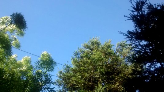 IMG20160416171916244