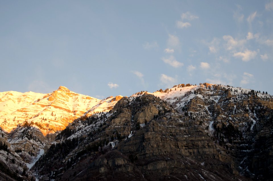 Mountain Dotted With Trees