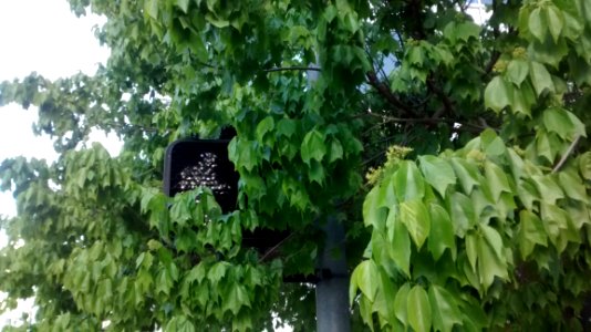 IMG20160404172805910