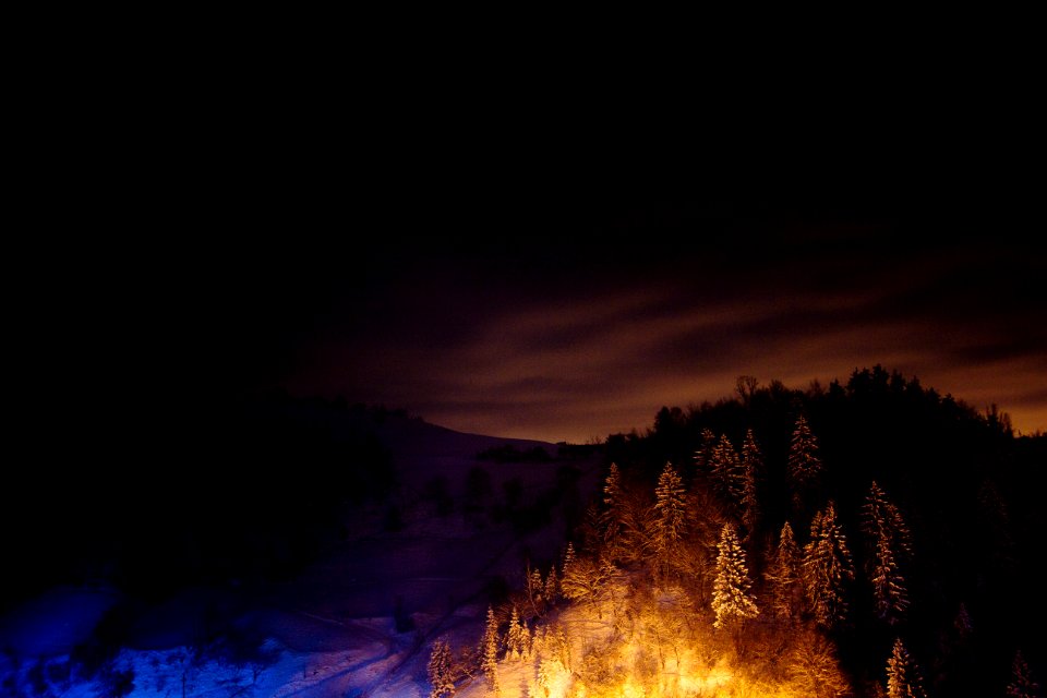 Winter Night