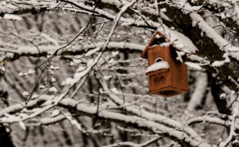 Winter Has Come