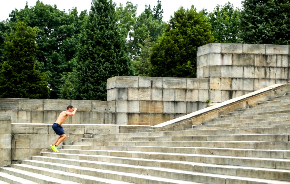 Tree Stairs Wood Leisure