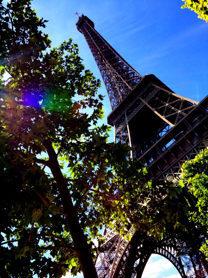 Eiffel Tower In Daylight