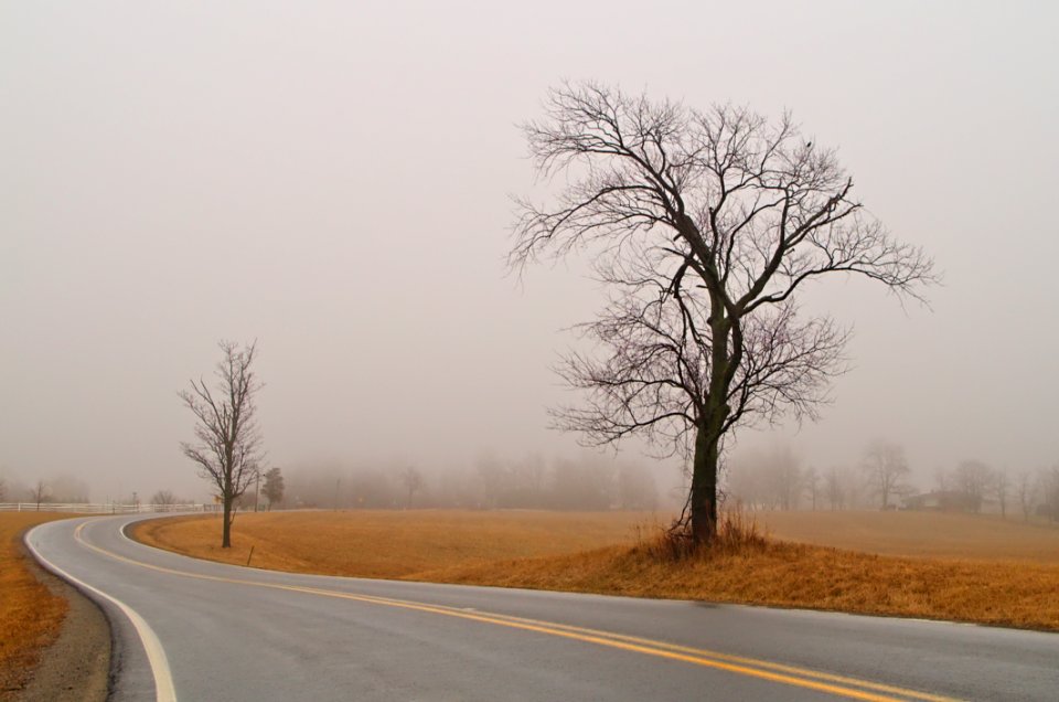 In Search Of Spring 5