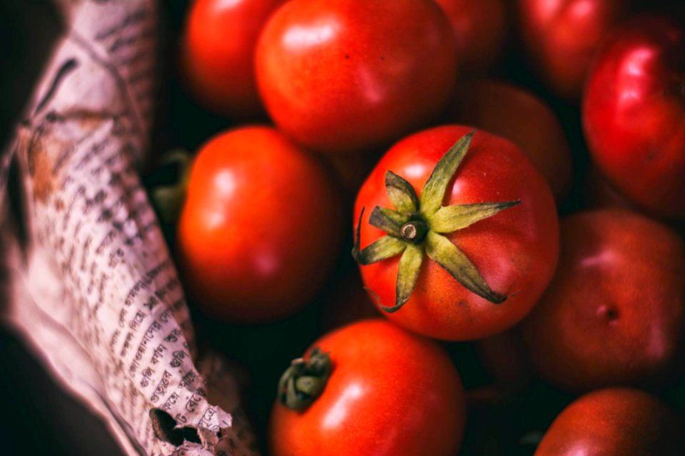 Bowl Of Fresh Tomatoes