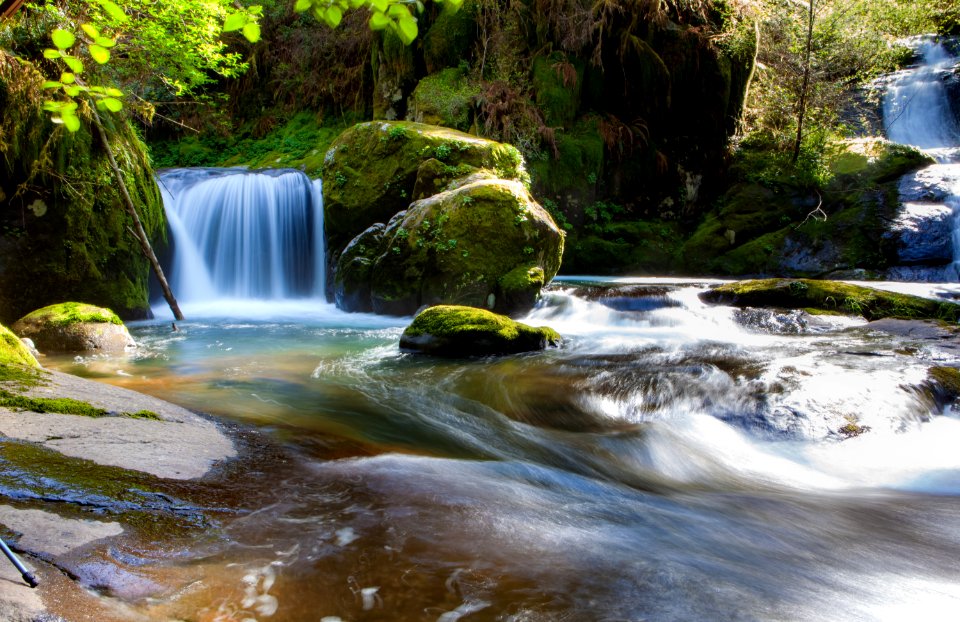 Waterfall In Forest Stream photo