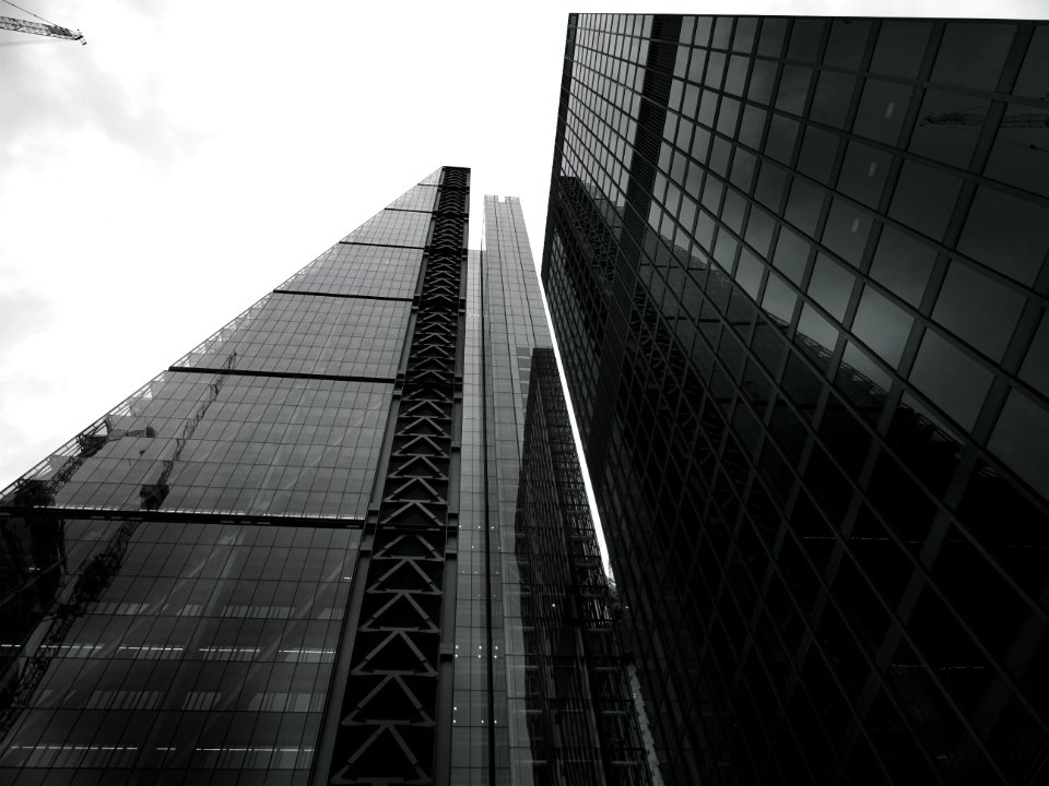 Contemporary Architecture In Black And White