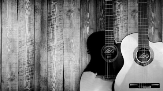 Acoustic Wooden Guitars