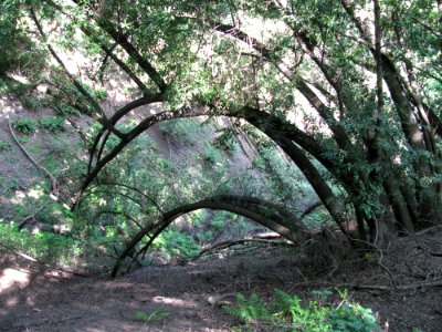 Img0660