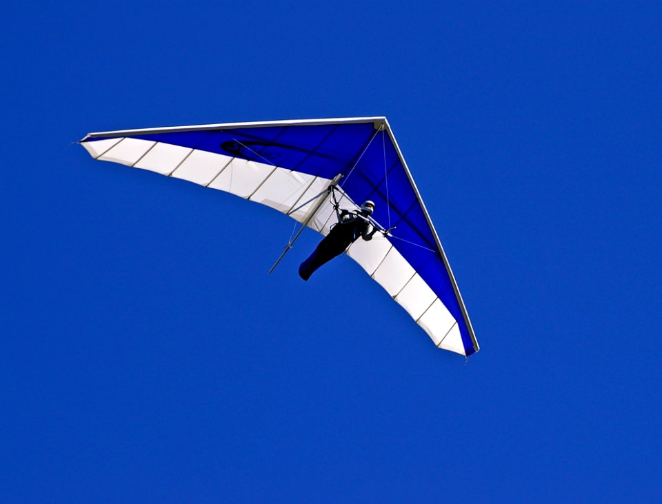 Man On Blue And White Air Glider