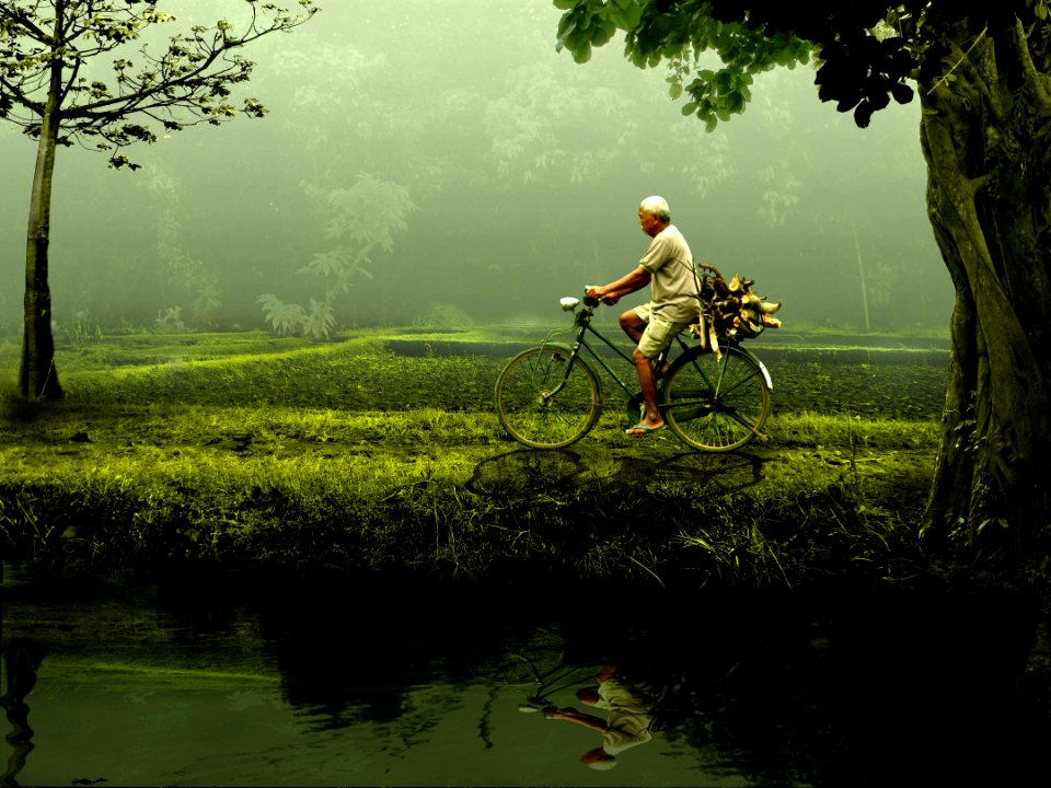 Person Riding On Bicycle On Green Grassfield During Daytime