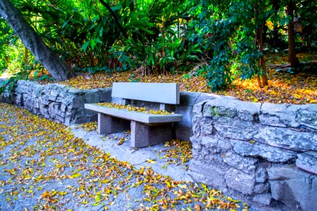 Park Bench On Stone Wall photo