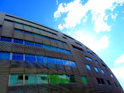 Building With Curvature