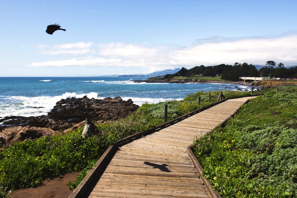 Boardwalk On Beach photo