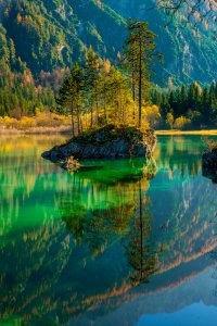 Scenic View Of Lake In Forest photo