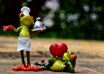 Frog In Chef Suit Figurine